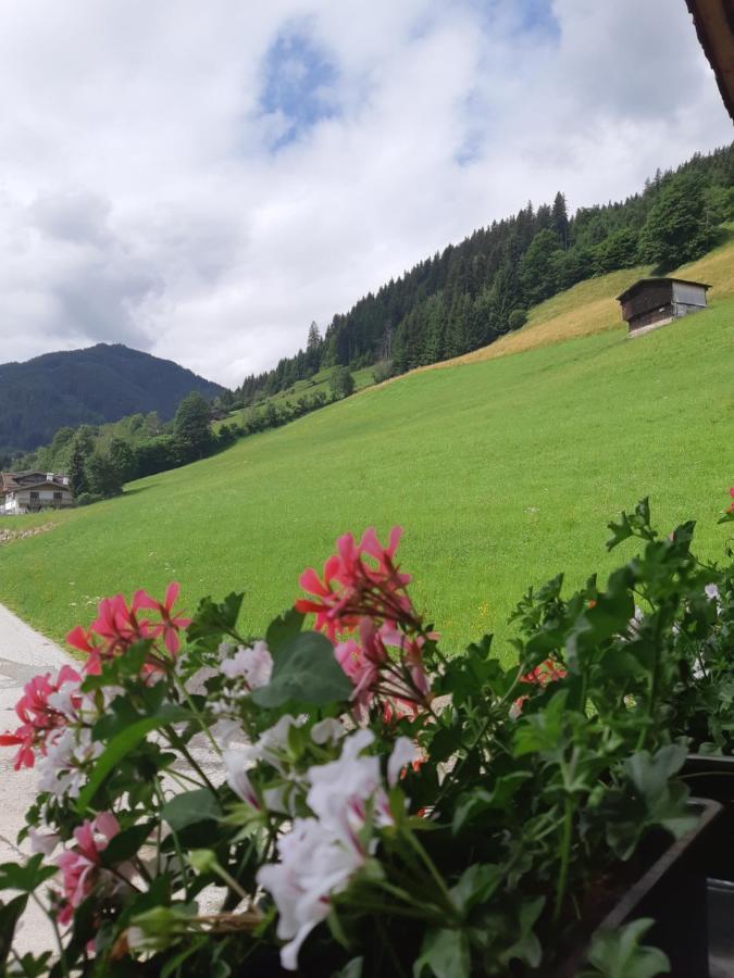 Ferienwohnung Schatzhof Jochberg Exterior foto
